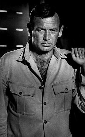 David janssen