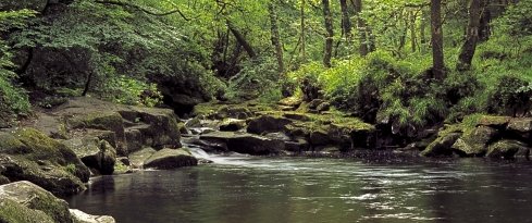 The Wissahickon Creek